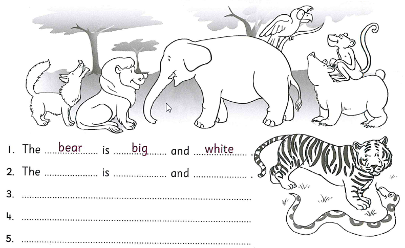 (תמונות)